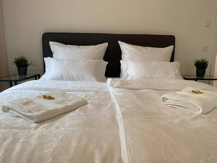 Acapella Suite Adagio 54Qm, Direkt Am Weinberg, Altstadt, Netflix Inklusive Heppenheim  Extérieur photo
