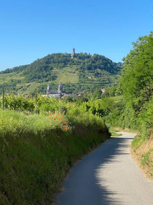 Acapella Suite Adagio 54Qm, Direkt Am Weinberg, Altstadt, Netflix Inklusive Heppenheim  Extérieur photo