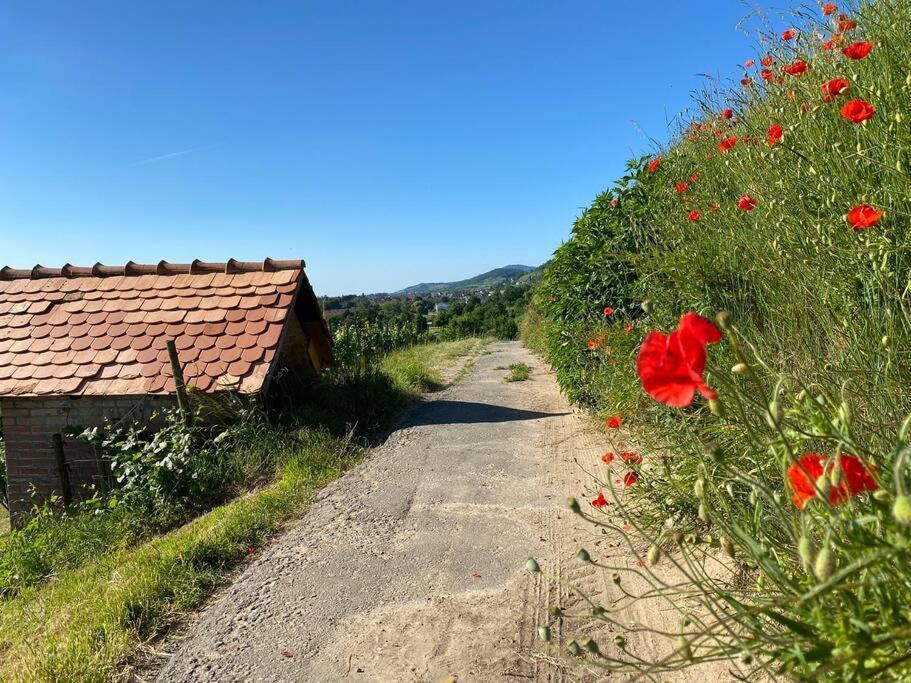 Acapella Suite Adagio 54Qm, Direkt Am Weinberg, Altstadt, Netflix Inklusive Heppenheim  Extérieur photo