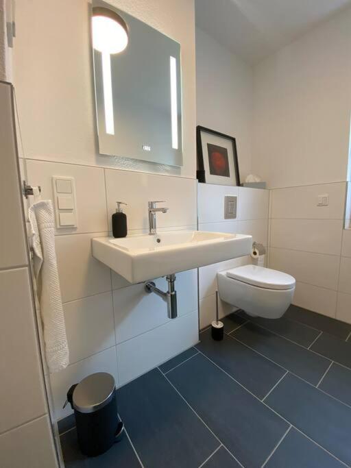 Acapella Suite Adagio 54Qm, Direkt Am Weinberg, Altstadt, Netflix Inklusive Heppenheim  Extérieur photo