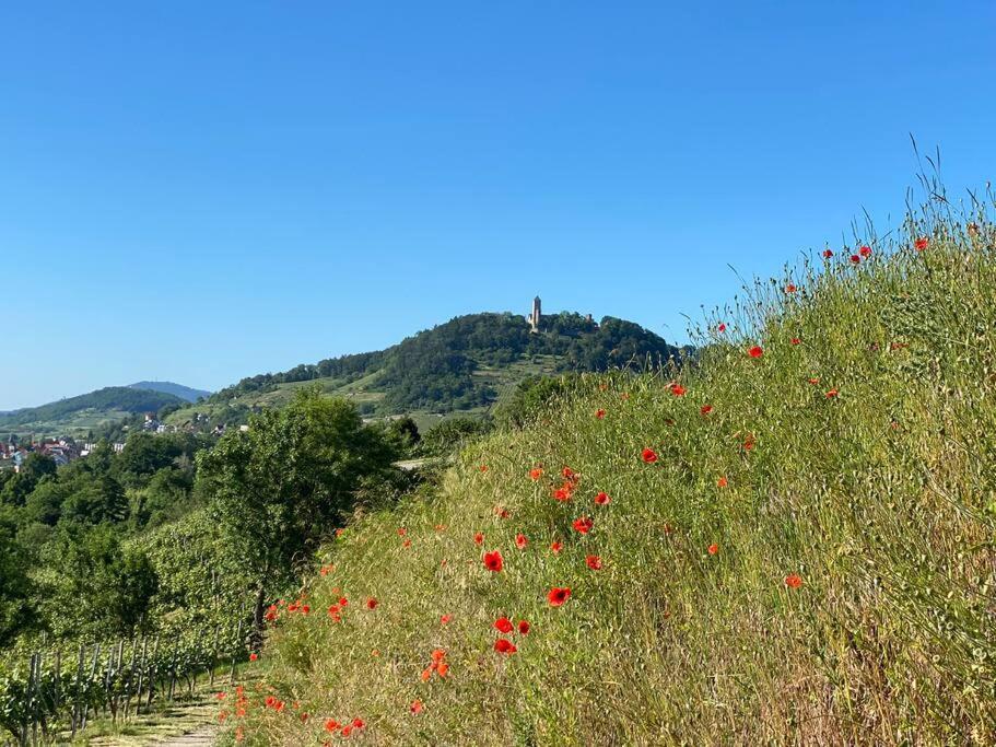 Acapella Suite Adagio 54Qm, Direkt Am Weinberg, Altstadt, Netflix Inklusive Heppenheim  Extérieur photo